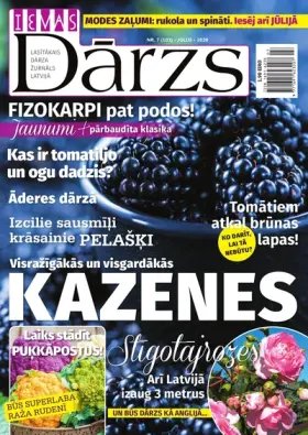 IEVAS DĀRZS — Nr. 07