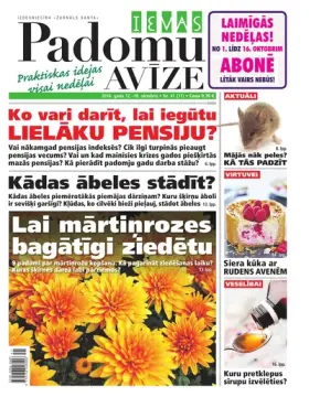 IEVAS PADOMU AVĪZE — Nr. 41