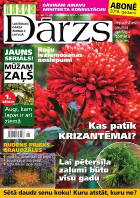 IEVAS DĀRZS — Nr. 11