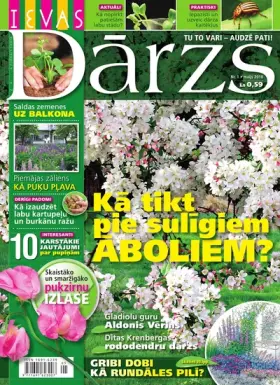 IEVAS DĀRZS — Nr. 1