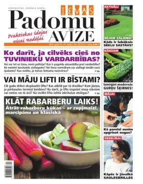 IEVAS PADOMU AVĪZE — Nr. 20