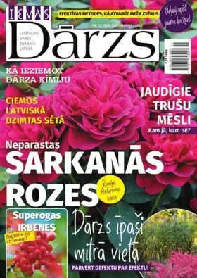 IEVAS DĀRZS — Nr. 11