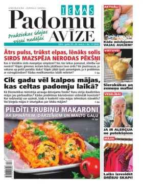 IEVAS PADOMU AVĪZE — Nr. 12