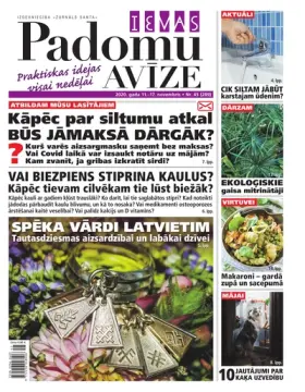 IEVAS PADOMU AVĪZE — Nr. 45