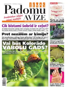 IEVAS PADOMU AVĪZE — Nr. 23