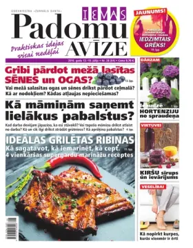 IEVAS PADOMU AVĪZE — Nr. 28