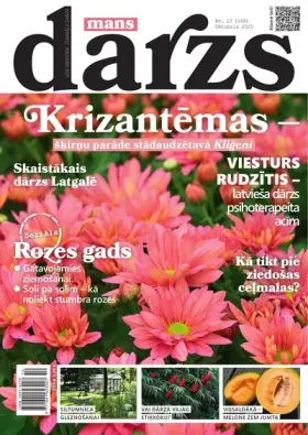 MANS DĀRZS — Nr. 10