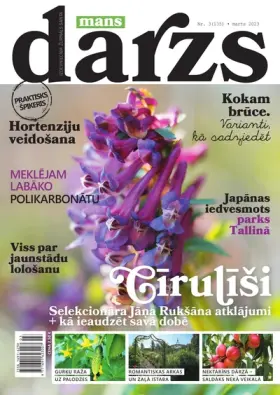 MANS DĀRZS — Nr. 03
