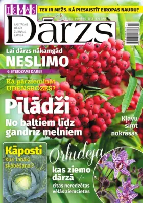 IEVAS DĀRZS — Nr. 10