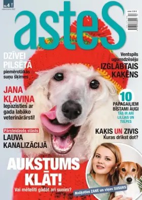 ASTES — Nr. 4