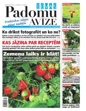 IEVAS PADOMU AVĪZE — Nr. 24