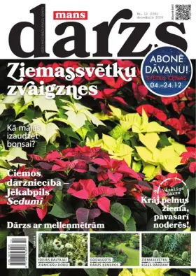 MANS DĀRZS — Nr. 12