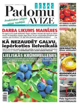 IEVAS PADOMU AVĪZE — Nr. 37