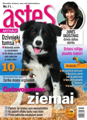 ASTES — Nr. 11