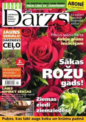 IEVAS DĀRZS — Nr. 01
