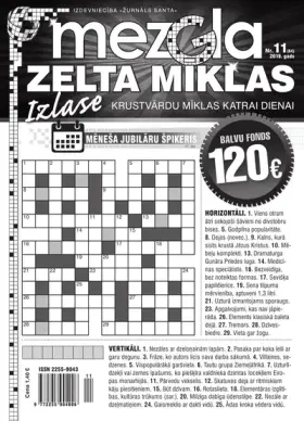 MEZGLA ZELTA MĪKLAS — Nr. 11