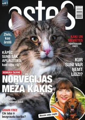 ASTES — Nr. 4
