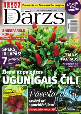 IEVAS DĀRZS — Nr. 12