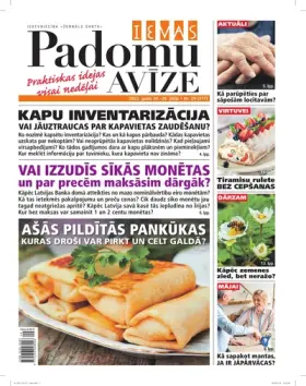 IEVAS PADOMU AVĪZE — Nr. 29