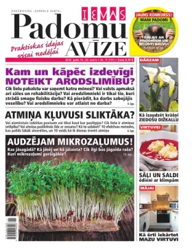 IEVAS PADOMU AVĪZE — Nr. 11