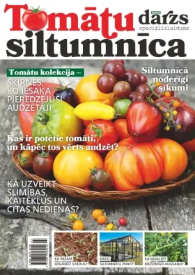 TOMĀTU SILTUMNĪCAS 2025