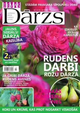 IEVAS DĀRZS — Nr. 10