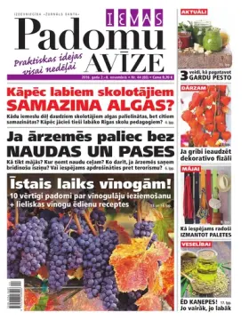 IEVAS PADOMU AVĪZE — Nr. 44