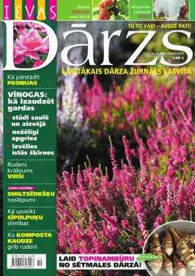 IEVAS DĀRZS — Nr. 10
