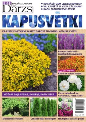 Kapu Svētki