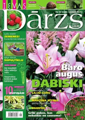 IEVAS DĀRZS — Nr. 4