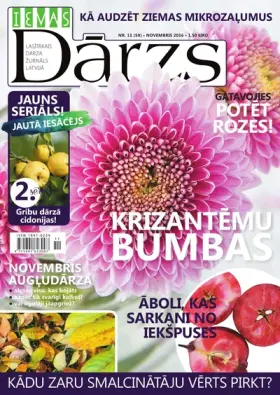 IEVAS DĀRZS — Nr. 11