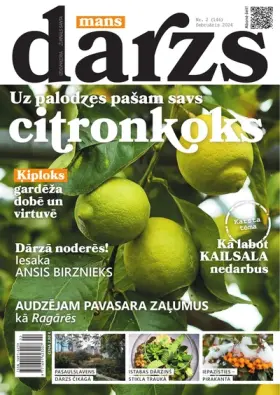 MANS DĀRZS — Nr. 02