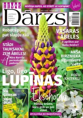 IEVAS DĀRZS — Nr. 06