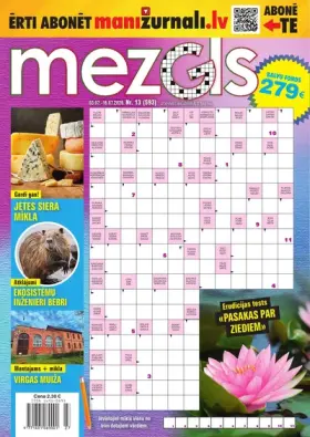 MEZGLS — Nr. 13