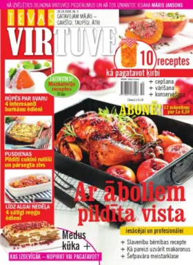 IEVAS VIRTUVE 2009.11 — Nr. 3