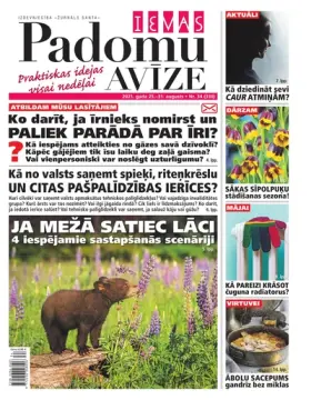 IEVAS PADOMU AVĪZE — Nr. 34
