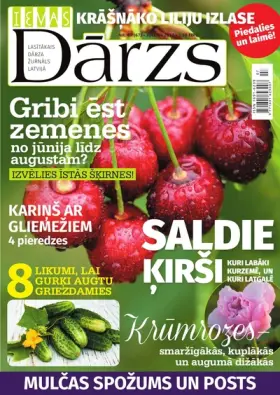 IEVAS DĀRZS — Nr. 07