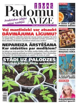 IEVAS PADOMU AVĪZE — Nr. 07