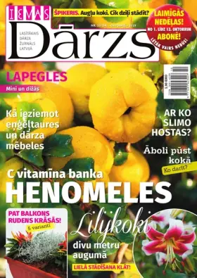 IEVAS DĀRZS — Nr. 10