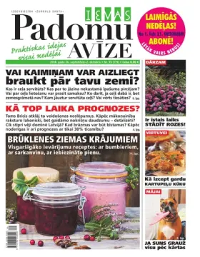 IEVAS PADOMU AVĪZE — Nr. 39