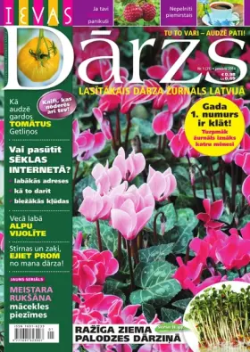 IEVAS DĀRZS — Nr. 01
