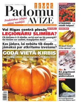 IEVAS PADOMU AVĪZE — Nr. 27