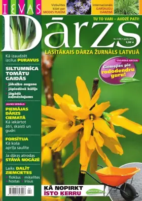 IEVAS DĀRZS — Nr. 04