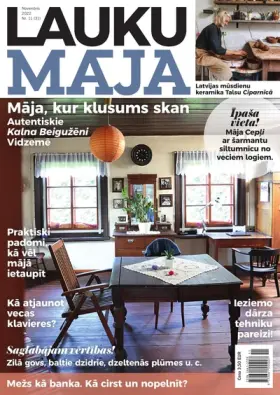 LAUKU MĀJA — Nr. 11