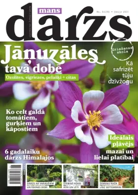 MANS DĀRZS — Nr. 06