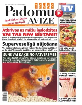 IEVAS PADOMU AVĪZE — Nr. 17