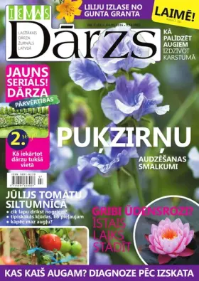 IEVAS DĀRZS — Nr. 07