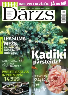 IEVAS DĀRZS — Nr. 01