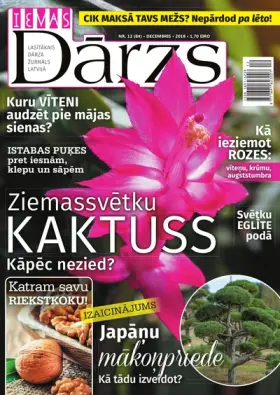 IEVAS DĀRZS — Nr. 12