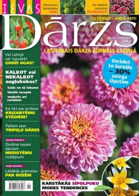 IEVAS DĀRZS — Nr. 11